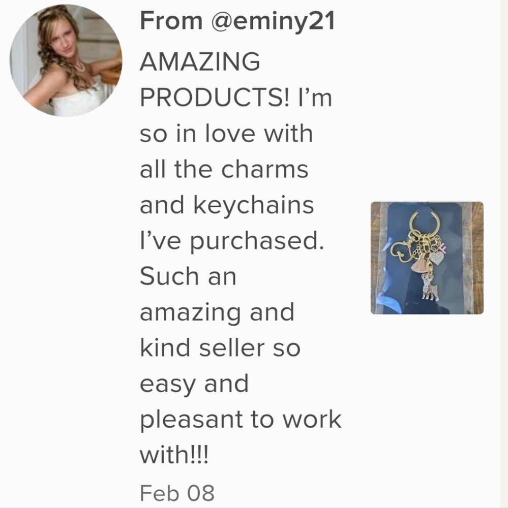 NEW! Cubic Zirconia Siberian Husky Keychain Bag 🎒👜 Jewelry Pendant ~ 🐾 🐕 🎁 - Picture 12 of 15